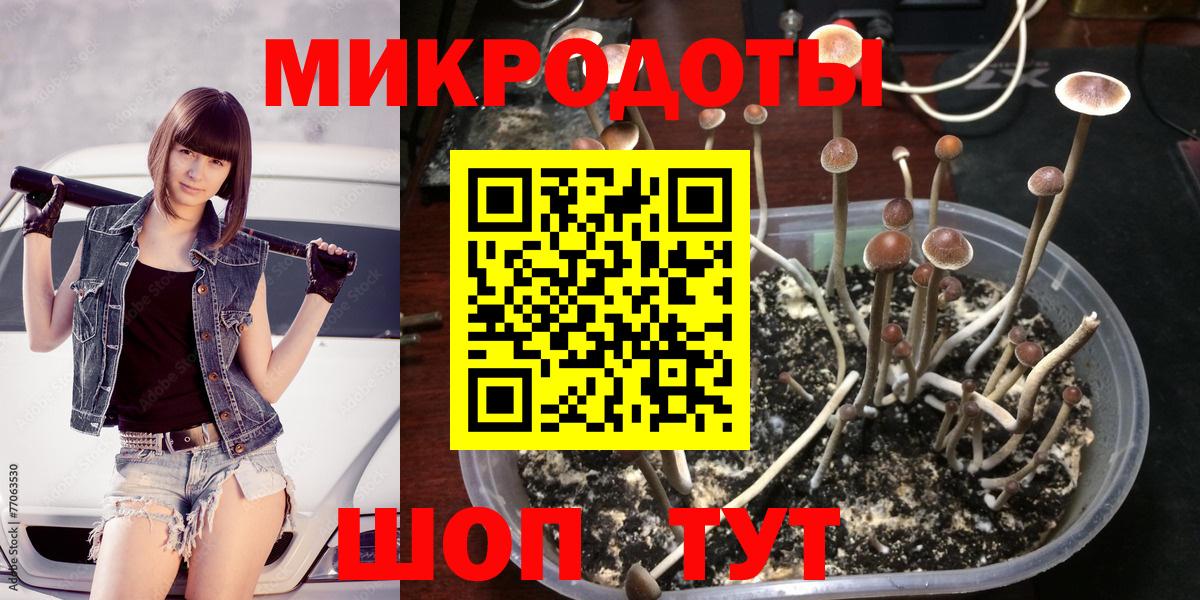 Галлюциногенные грибы прущие грибы Бузулук