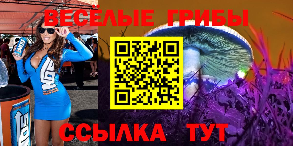 Галлюциногенные грибы Cubensis  Вход с VPN  Бузулук 