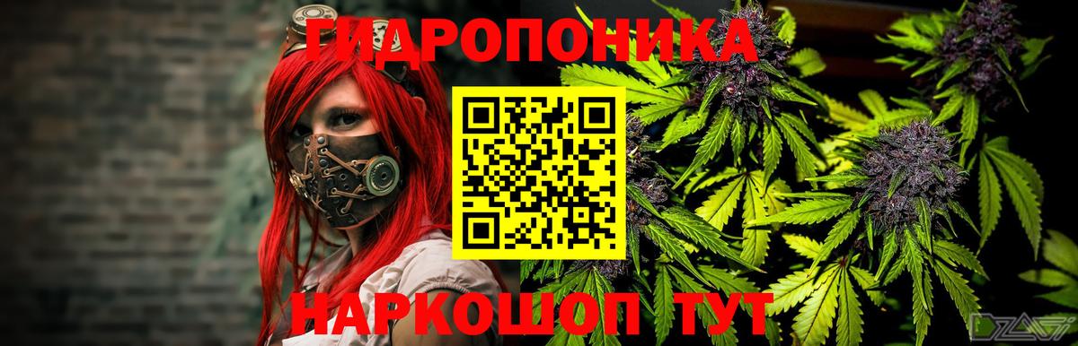 Бошки марихуана семена  Бошки Шишки индика  Марихуана семена  Бузулук  Канабис VHQ  Вход с VPN 